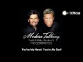 Modern Talking - YOU&#39;RE MY HEART YOU&#39;RE MY SOUL Official.ro HQ