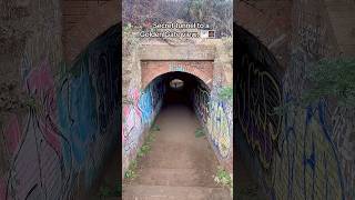 Secret tunnel to a golden gate view. #california #viajes #sanfrancisco #travel #goldengatebridge