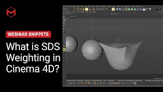 Subdivision Surface Weighting in Cinema 4D