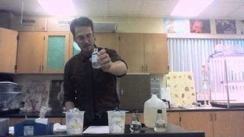 NPP lab instruction video