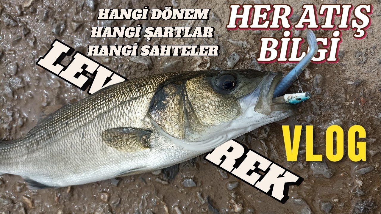 Her atış bilgi Vlog tadında levrekavı / O saatte levrek olurmu ?