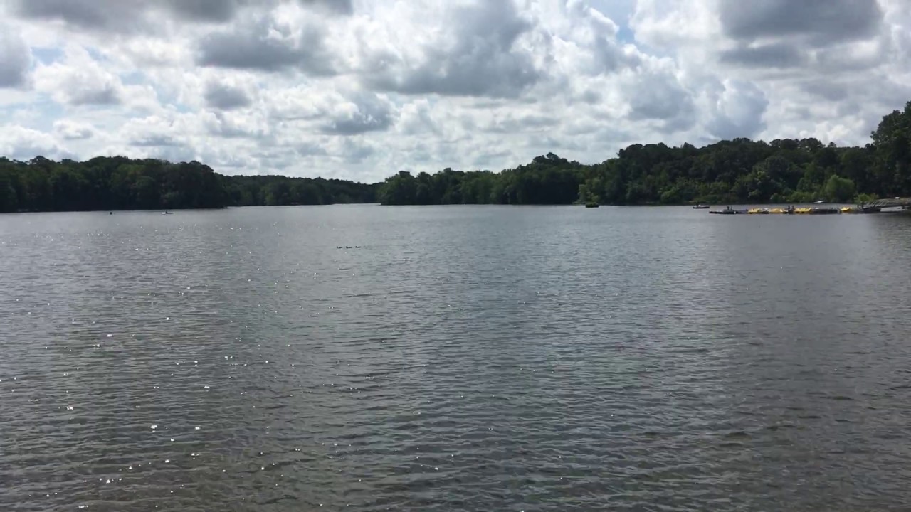 June 20, 2020 - Trap Pond State Park - YouTube