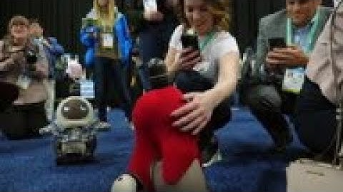 Robots and AI take centre stage at CES