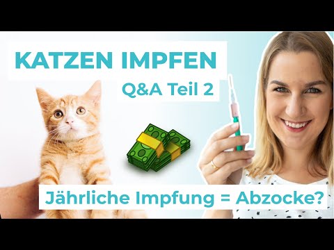 Video: Soll Ein Kätzchen Geimpft Werden?