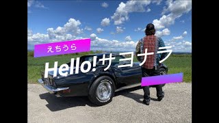 えちうら『 👋Hello!サヨナラ👋 』( Hello Good-bye ) self made lyrics MV