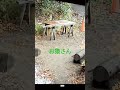 お猿さんの遊び場になってる。。。