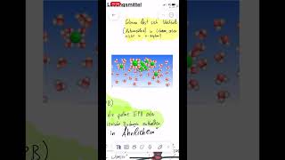 Goodnotes vs notability