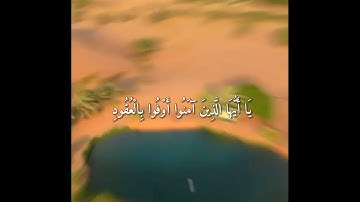 تلاوة خاشعه من سورة المائدة ❤️  للقارئ فهد واصل  المطيري
