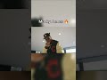 Follow & Like for more clips!