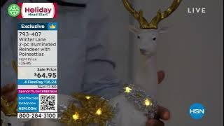 Winter Lane 2piece Illuminated Reindeer with Poinsettias