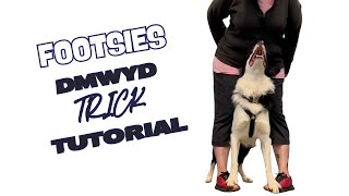 Footsies - DMWYD: Trick Tutorial by Pam's Dog Academy 57 views 1 month ago 2 minutes, 45 seconds
