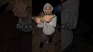 heard they make great fertilizer #fish #fishing #shorefishing #trend #trending #viral #angler #jesus