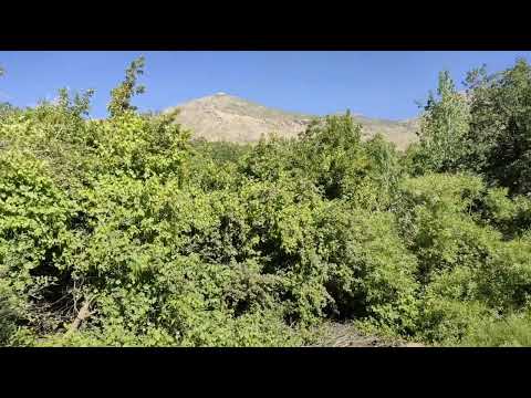 سروشتی کوردستان 6 2 2022 بناری قەندیل گوندی پشتاشان 