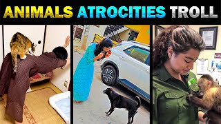 விலங்குகள் செய்த தரமான காமெடி சம்பவங்கள் | ANIMALS ATROCITIES TROLL - TODAY TRENDING
