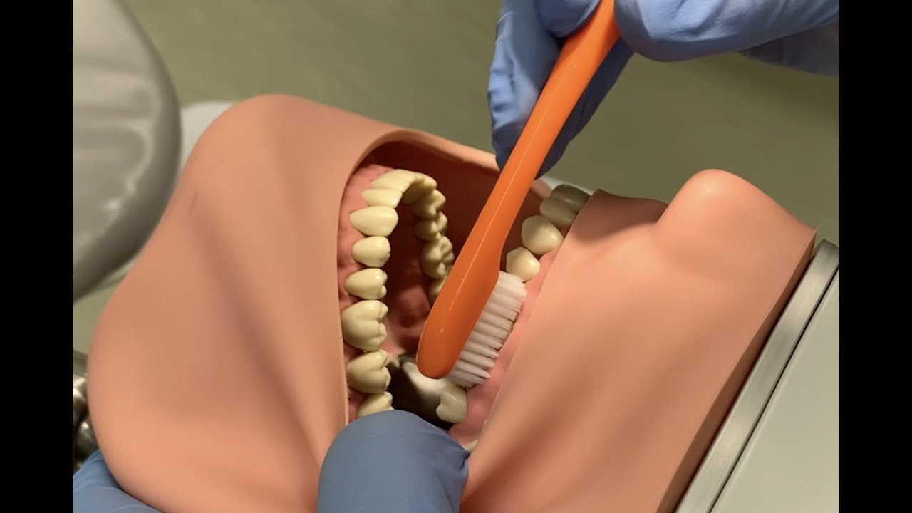 Poetsinstructie Handtandenborstel