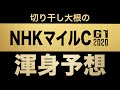 【NHKマイルC2020】３着内シェア率93%の驚愕データを引き下げ、大きいところ狙いに行きます！