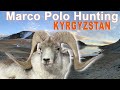 Marco Polo hunting in Kyrgyzstan - 2020 (Chasse approche montagne)