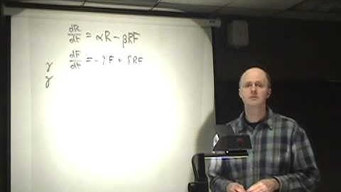 Introduction to Interacting Species Models (Predator-Prey Model)