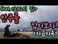 주문진 원투낚시로 최고의 안주를 잡아서 먹어보자! 자급자족 힐링영상 바다낚시 Let's catch fish at the sea, cook and eat