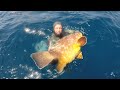 the best spearfishing vídeo in the world with Jesus Jimenez  team Fusiles Orca Polosub Carbonniogft