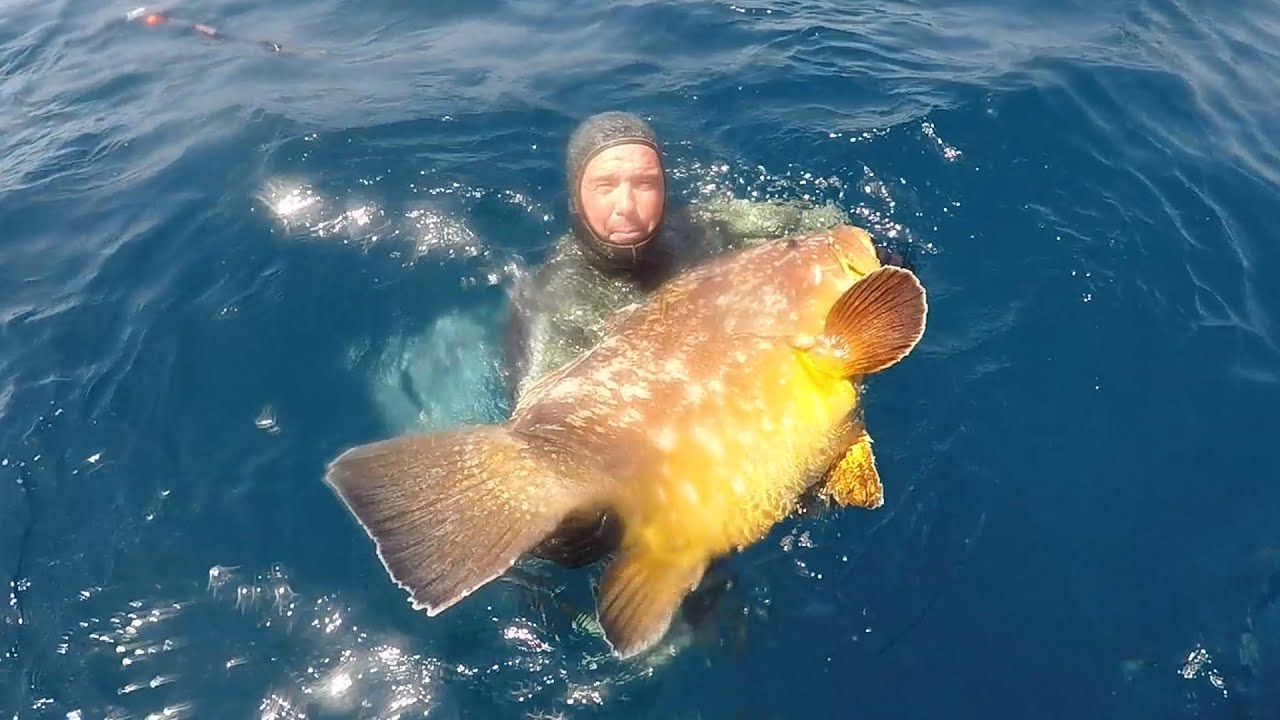 the best spearfishing vídeo in the world with Jesus Jimenez  team Fusiles Orca Polosub Carbonniogft