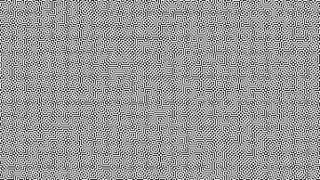 [1080p60] Cellular automaton ANKOS  2020-04-30