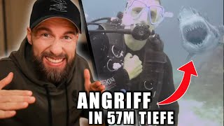 Macht das bloß nicht!  Hai ANGRIFF in 57m TIEFE | Meeresbiologe analysiert | Robert Marc Lehmann