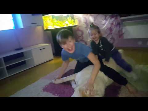 Алабай и дети