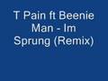 T pain ft beenie man  im sprung remix