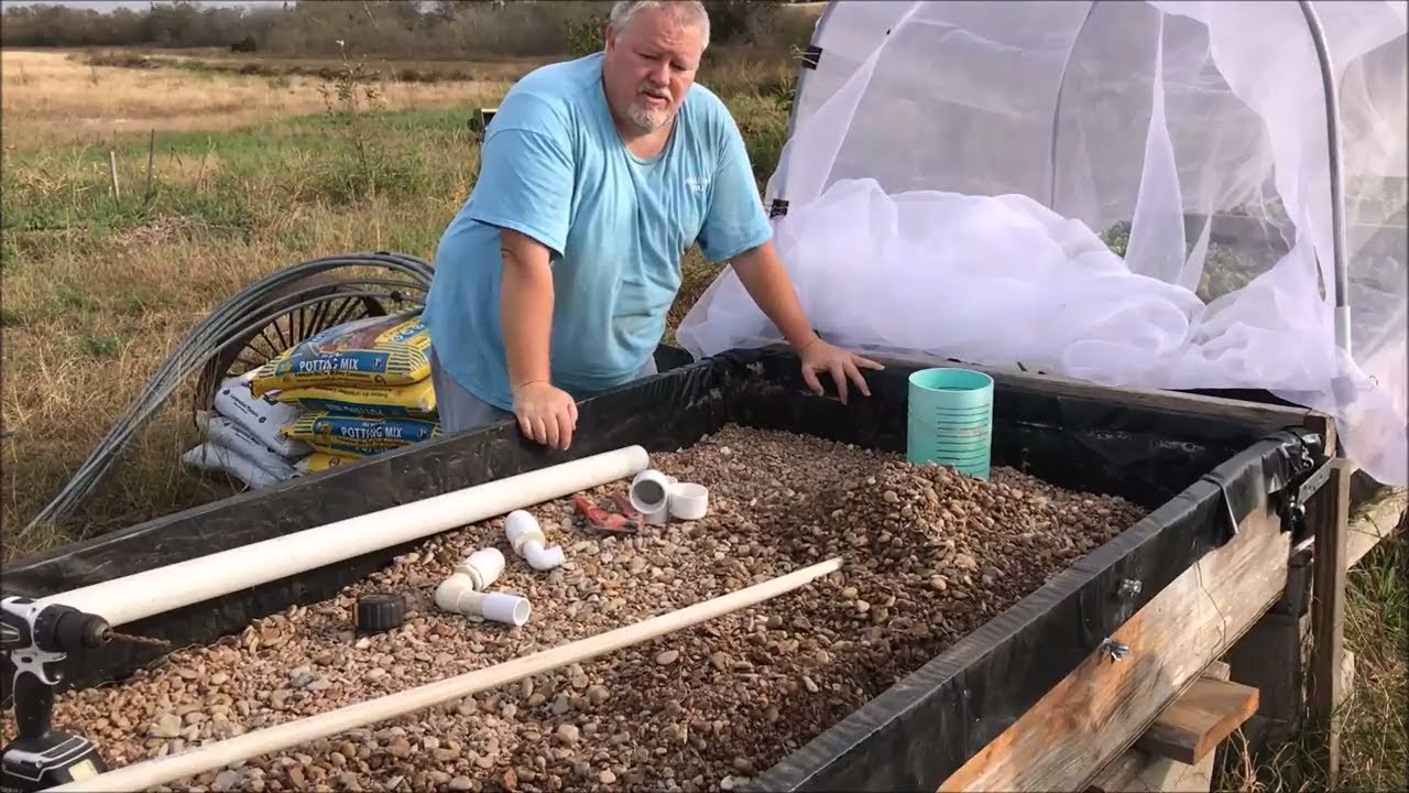 Aquaponic Gravel Bed Conversion Into a Wicking Bed YouTube