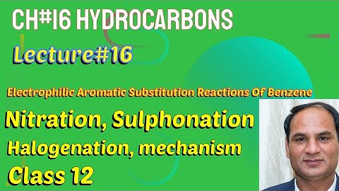 Ch#16||Lec#16 |Electrophilic Aromatic Substitution Reactions Of Benzene |#Class12 Chemistry
