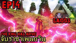 BGZ  ARK Gaidos EP#14 จับราชาเพนกวิน King Kairuku Tame