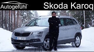 Skoda Karoq FULL REVIEW AWD test - Autogefühl