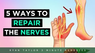 5 Ways To REPAIR Nerve Damage