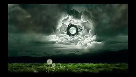 آيات من الذكر الحكيم من سورة - الزمر-