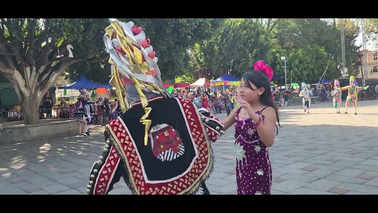 Presentación en el remate  de acuitlapilco camada nueva apizaco