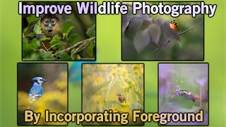 Foreground Wildlife Photography
