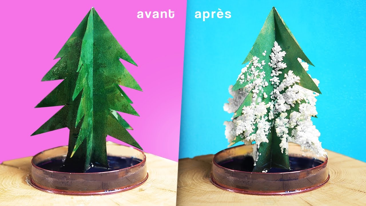Fabriquer un arbre à cristaux (arbre magique) 