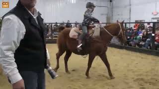Schmitty’s Horse Sale & Preview, Aplington, IA