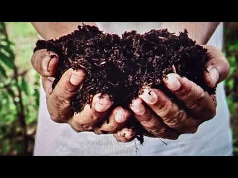 Organic Fertilizers being now used in Sri Lanka