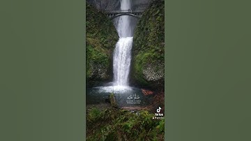 علي جابر - سورة الأحزاب