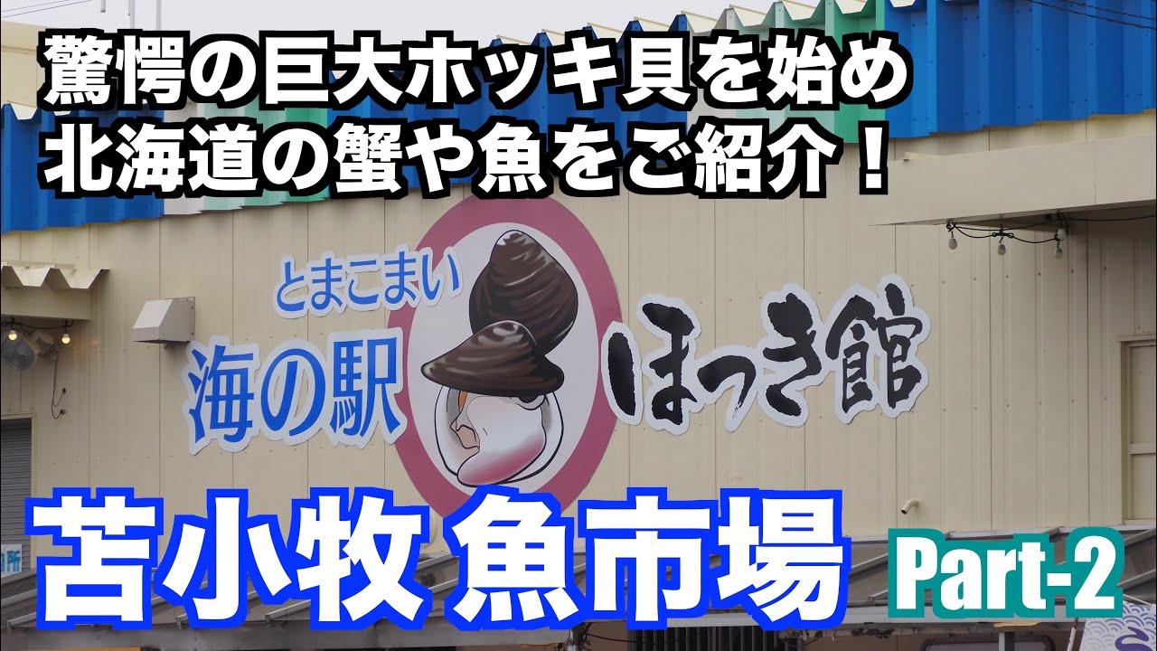 【驚愕の巨大ホッキ貝 苫小牧魚市場 Part2】あばお 海鮮ちゃんねる #56 海の駅 ほっき館 魚金商店