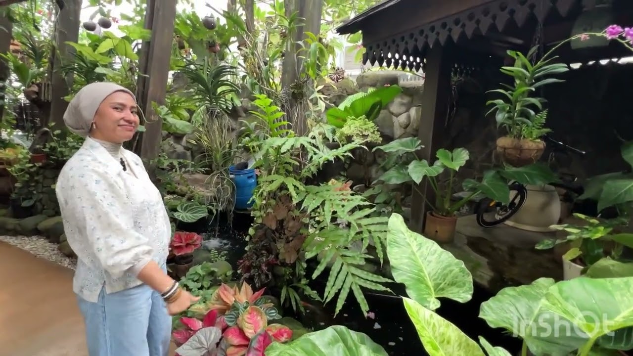 Review tanaman samping rumah part 1