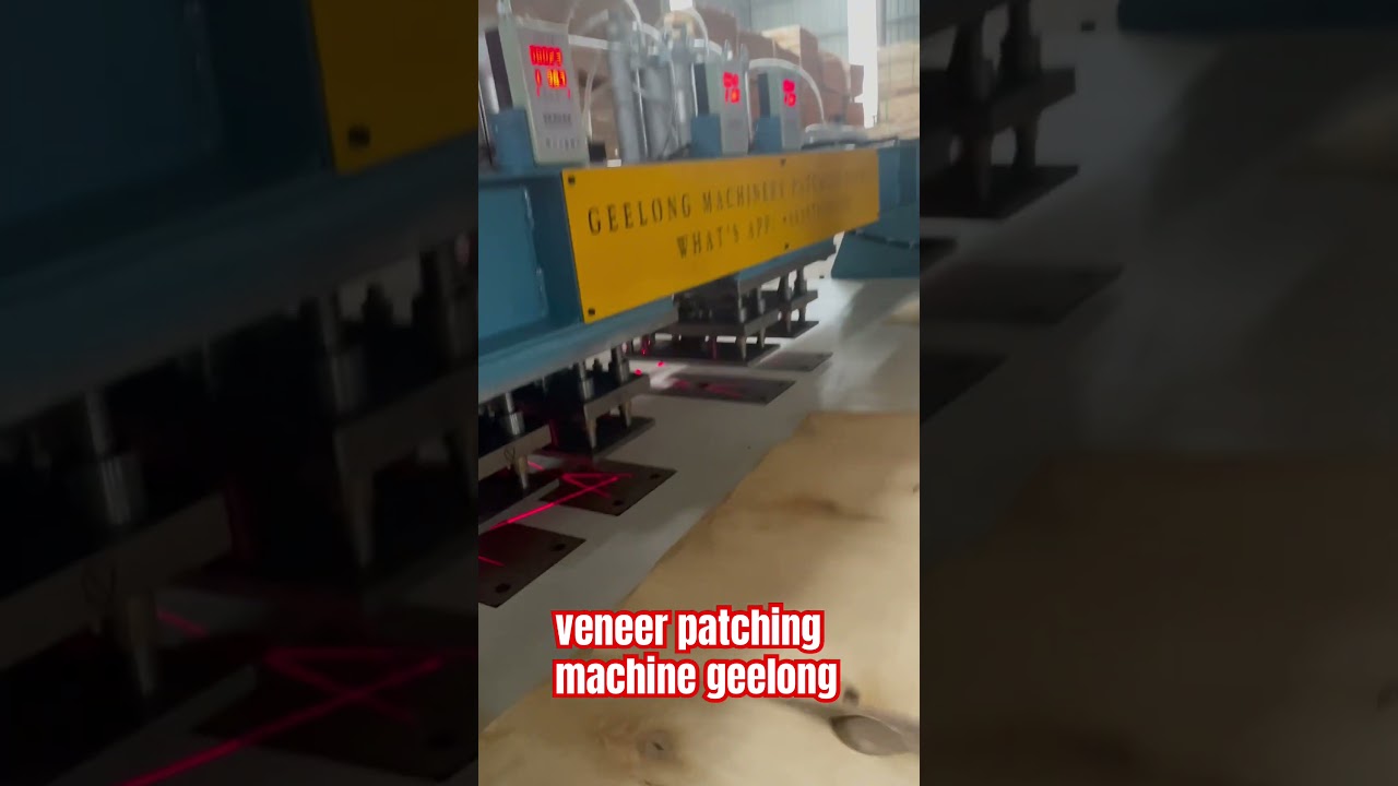 Veneer patching machine China good quality mould size customize 