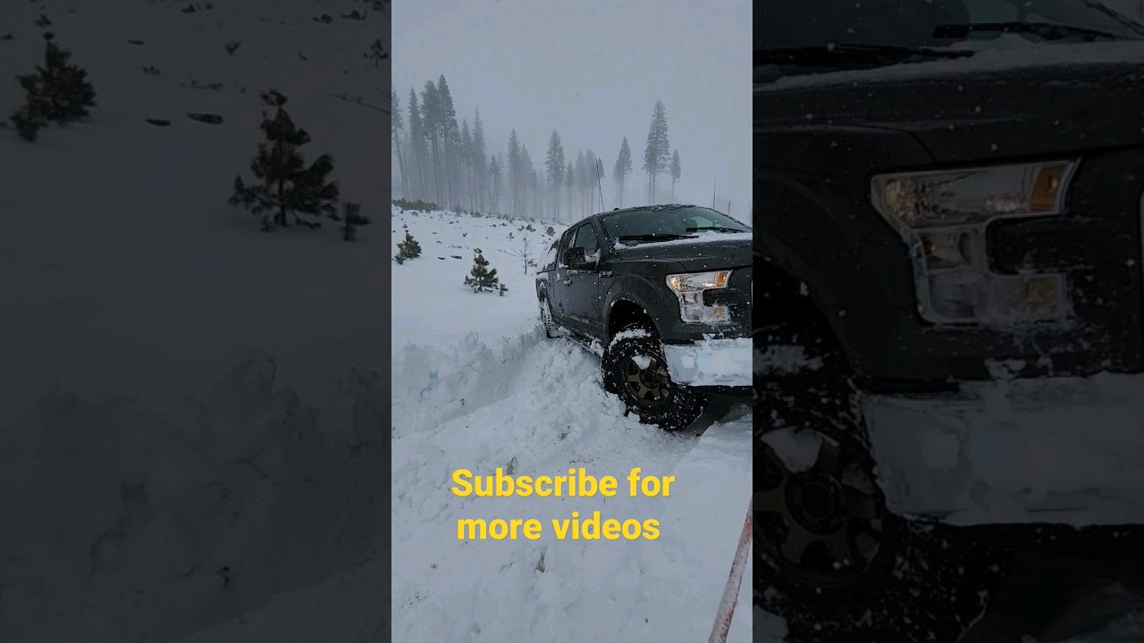 ford f150 needs some help from gmc in deep snow. 