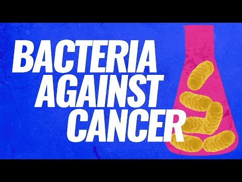 Video: Mikä proteiini on bakteerisiima?