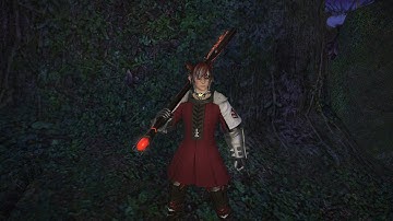 Leveling from 44-50 in FFXIV