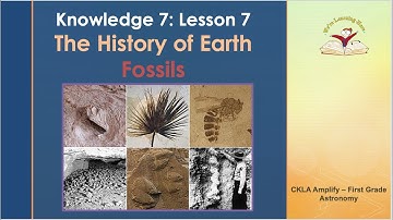 Knowledge 7 Lesson 7 Fossils