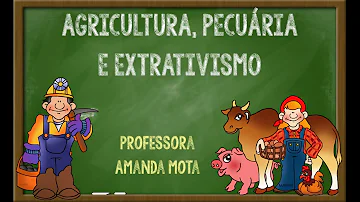 Como são classificados os extrativos da madeira?