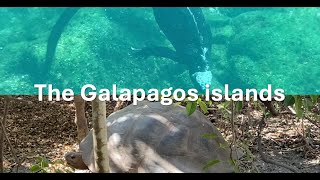 Exploring the Galapagos island, so many amazing animals part 2